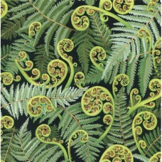 Koru Frond FQ